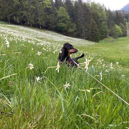 Alpenurlaub I 2 Stoeckige Mit Traumausblick *